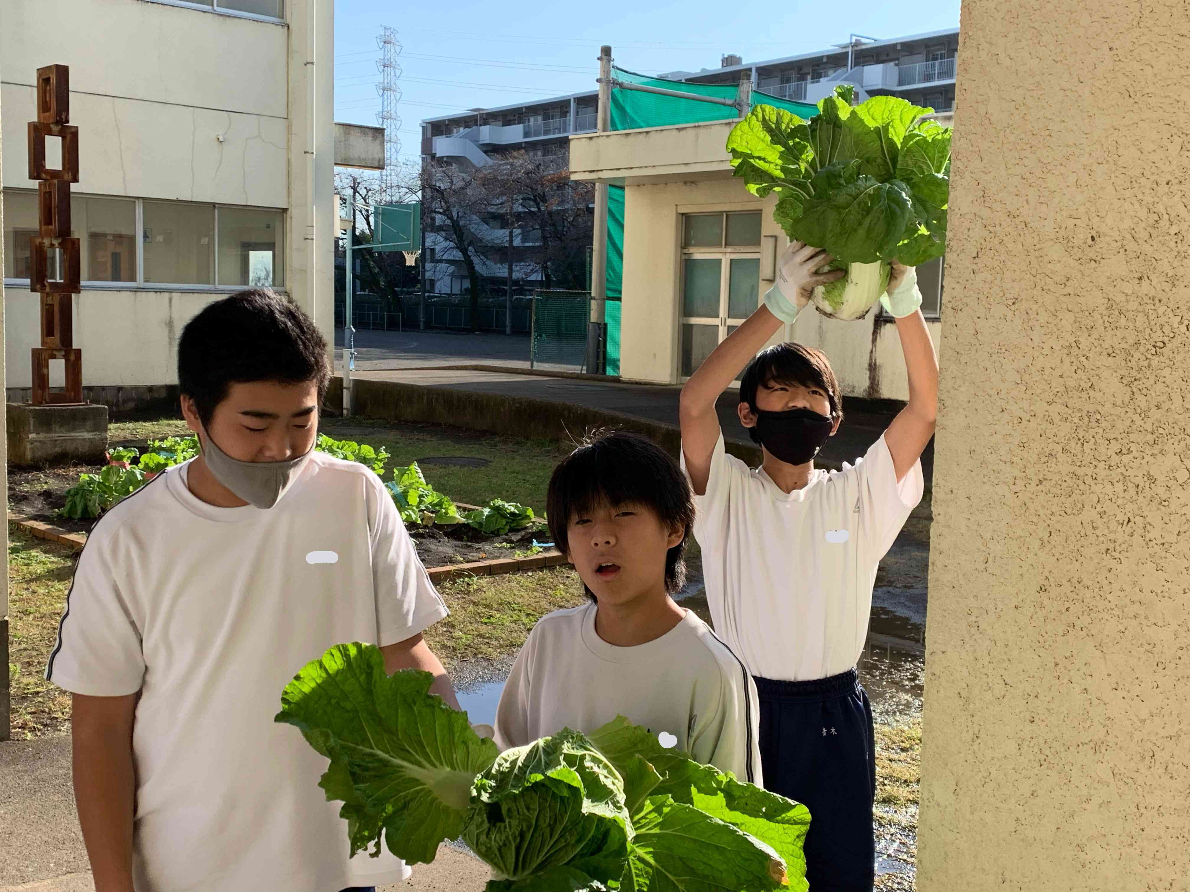 file674d79bf0f126